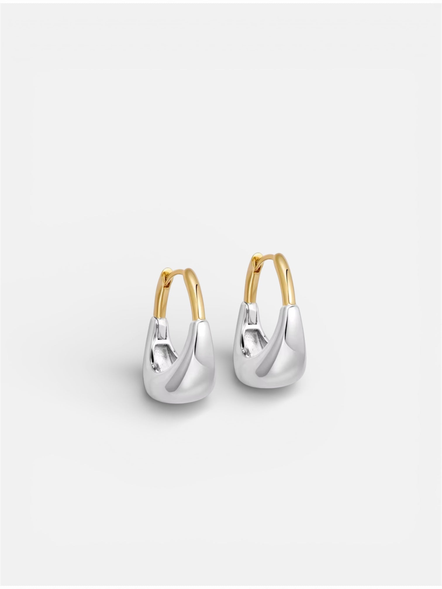 Silver Gold Hoops
